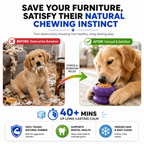 Durable Fillable Dog Chew Bone – Freezable Treat Dispenser for Aggressive Chewers