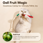 Snake Dental Ropes (3-Pack): Natural Cotton Teeth Cleaning & Teething Toy for Cats